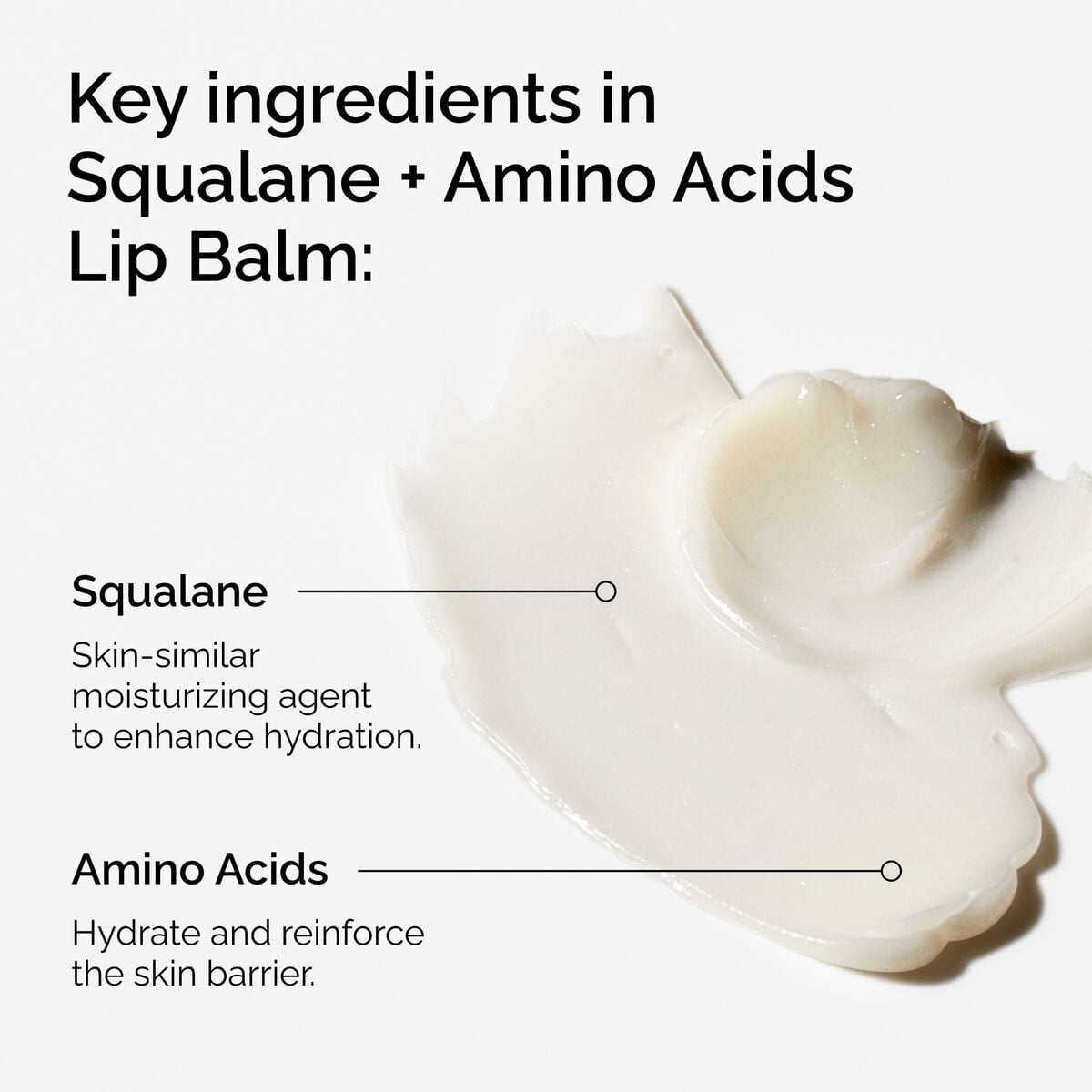squalane-amino-acids-lip-balm-x8 FY25-D41247-ORD-Web-PDP-Sql-Amino-Lip-1x1-EN-2a.jpg