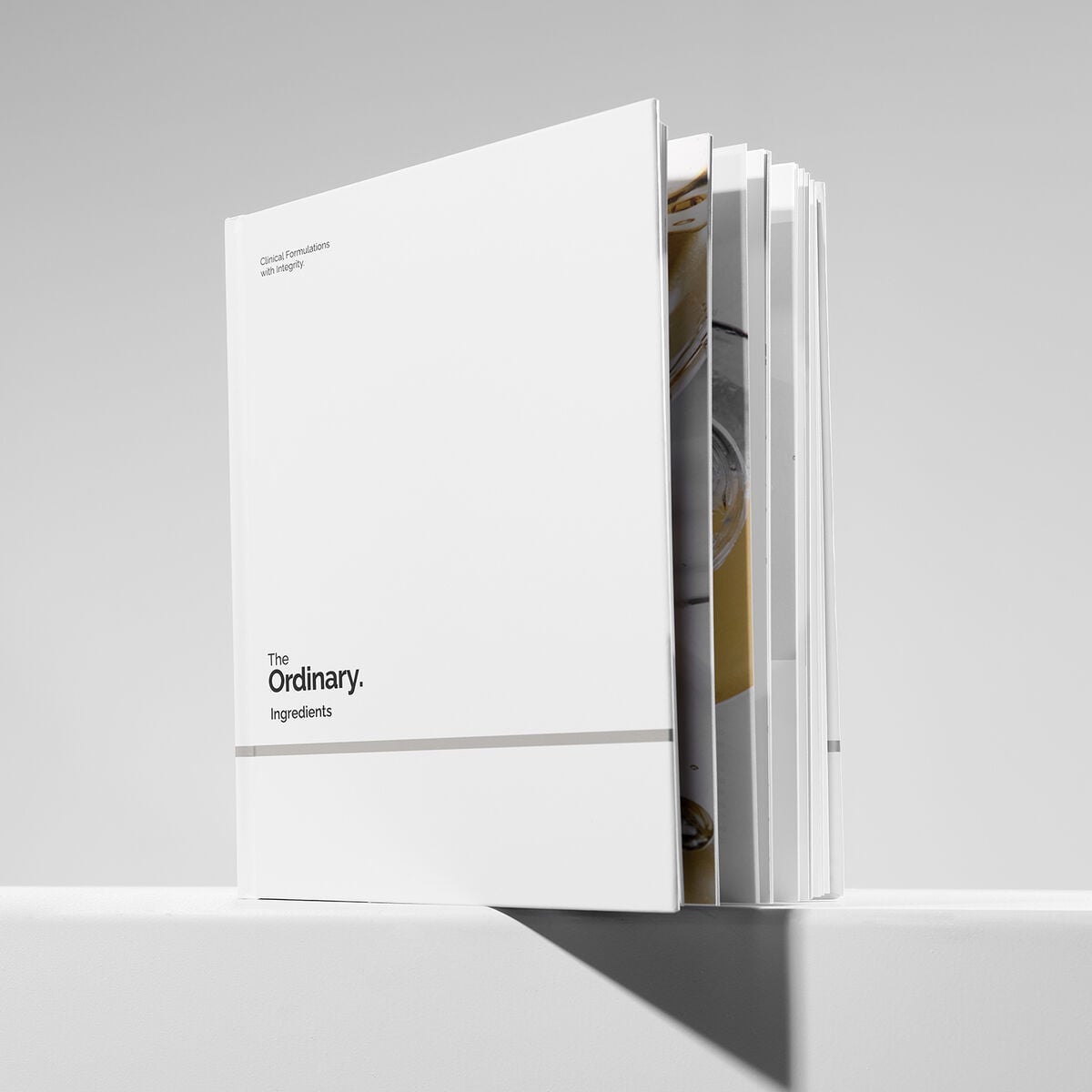 ingredients-s8 rdn-ingredients-book-02.jpg